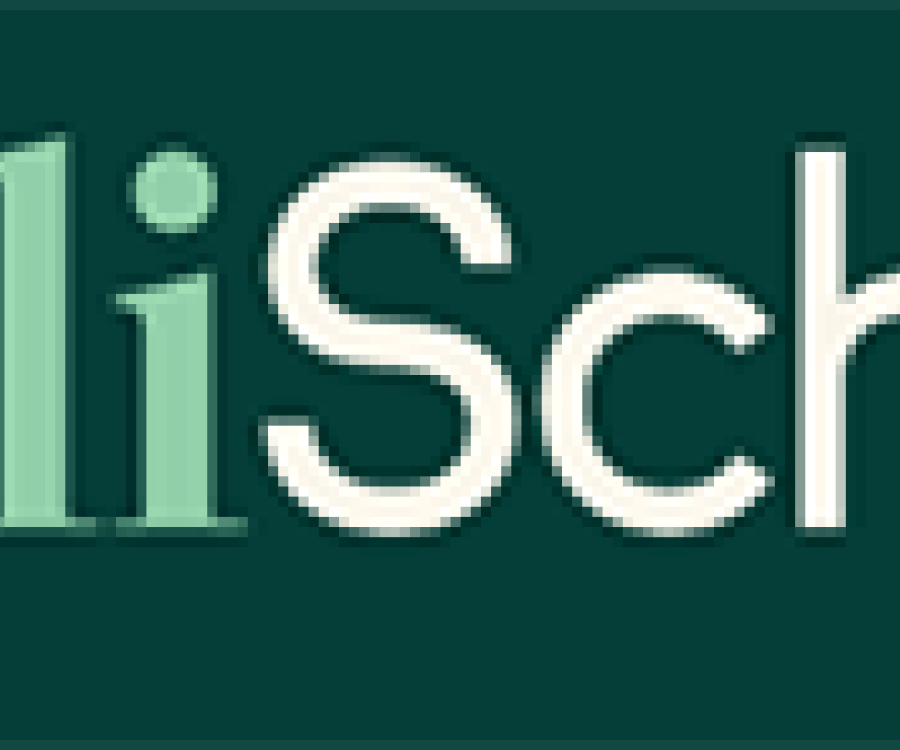 AngliSchools Logo